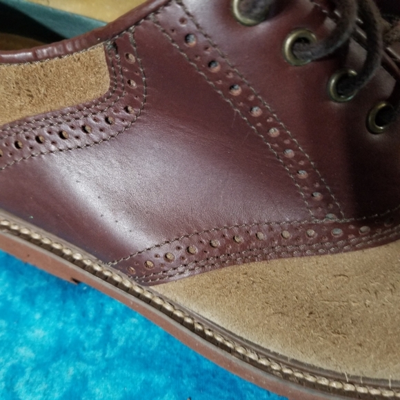 Saddlebred Oxford - Picture 3 of 4